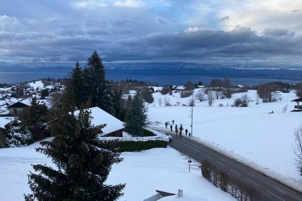 Duplex En Station Vue Sur Lac Leman Thollon-les-Memises Exterior foto